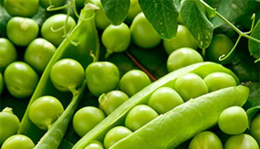 100 Gram Bezelye Besin Değeri